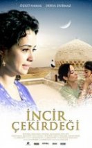 İncir Çekirdeği Full HD izle