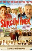 Sürgün İnek izle