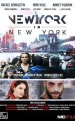 New York in New York Full İzle