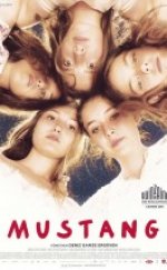 Mustang Filmi izle