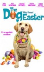 Paskalyayı Kurtaran Köpek Full İzle