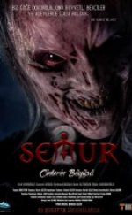 Semur 2: Cinlerin Büyüsü