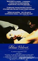Mavi Kadife (Blue Velvet)