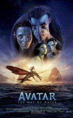 Avatar 2 Suyun Yolu D