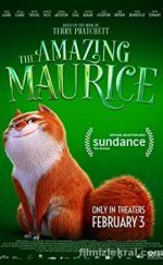 Muhteşem Kedi Maurice