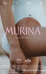 Murina