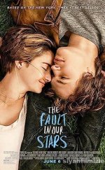 Aynı Yıldızın Altında