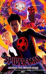 Örümcek Adam ( Örümcek Evrenine Geçiş )