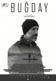 Buğday Full HD izle