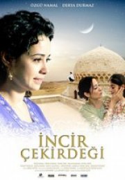 İncir Çekirdeği Full HD izle